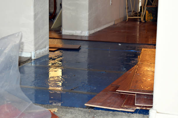 Professional Emergency Water Damage Restoration technician working in Pratt, KS
